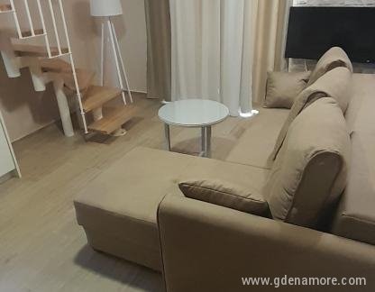 Apartmani Vico 65, Apartman 12, privatni smeštaj u mestu Igalo, Crna Gora - IMG-8c7bb1de80e426e3c813dccff80b80be-V